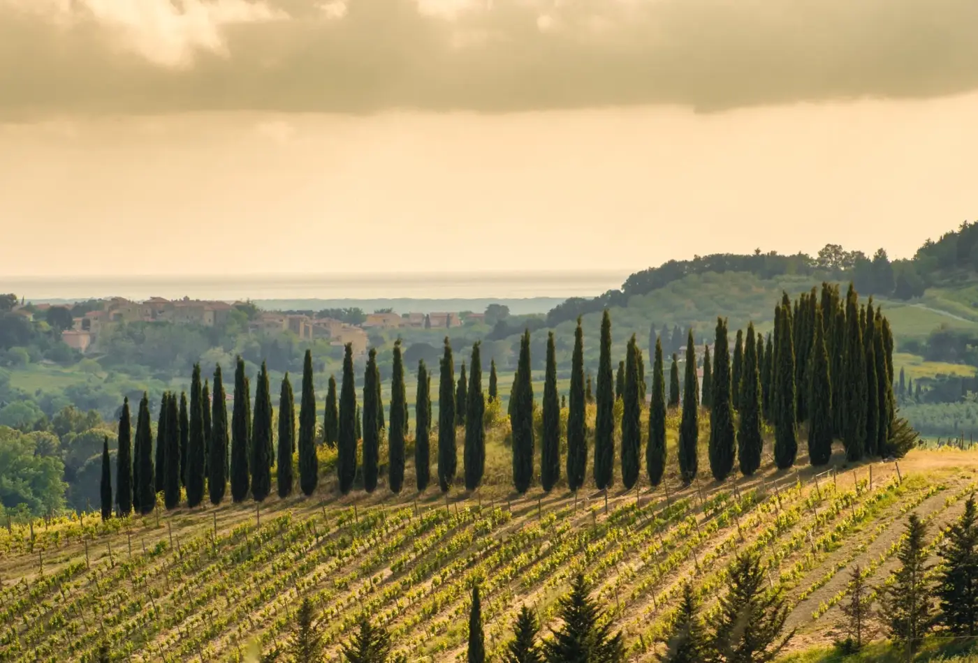 AdobeStock 147925806