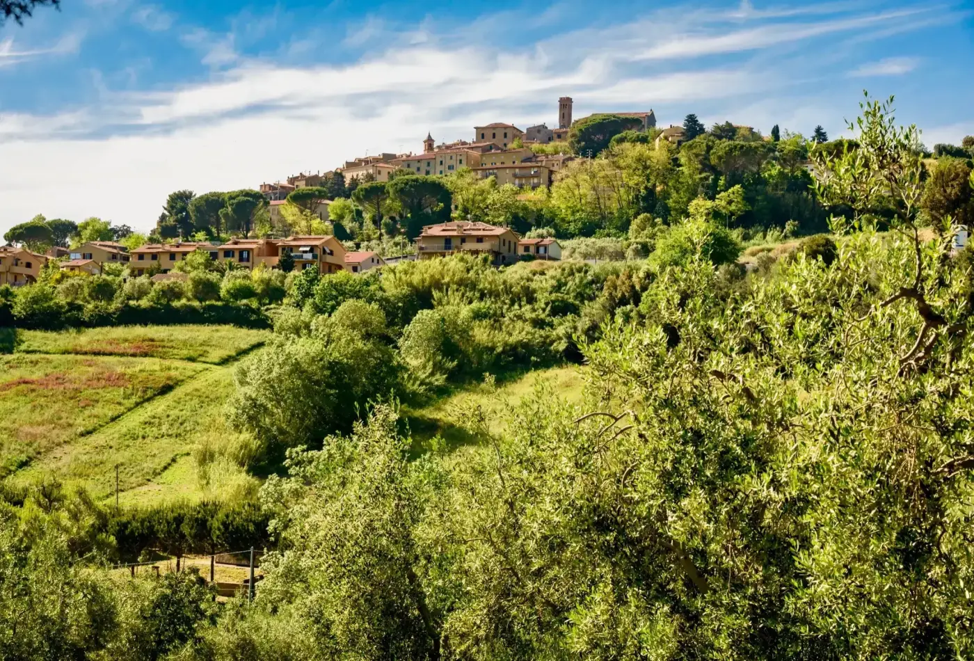 AdobeStock 153081174