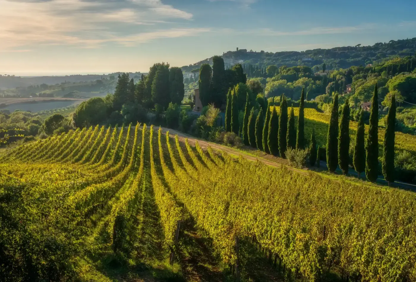 AdobeStock 1773123721