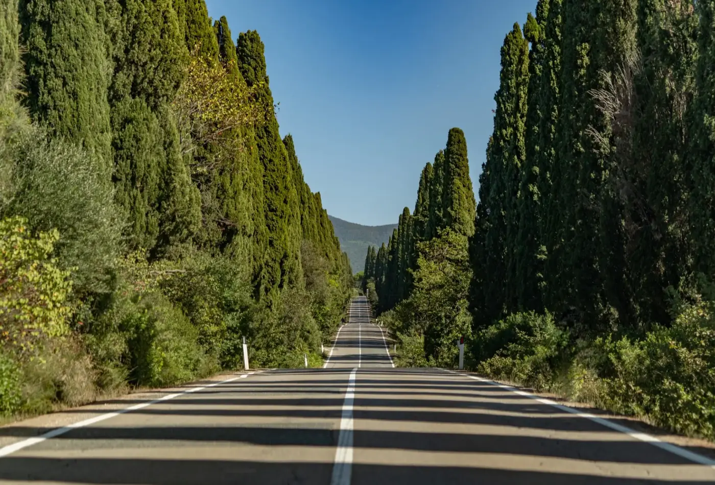 AdobeStock 677161053