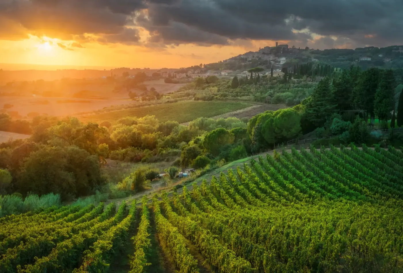 AdobeStock 996783066