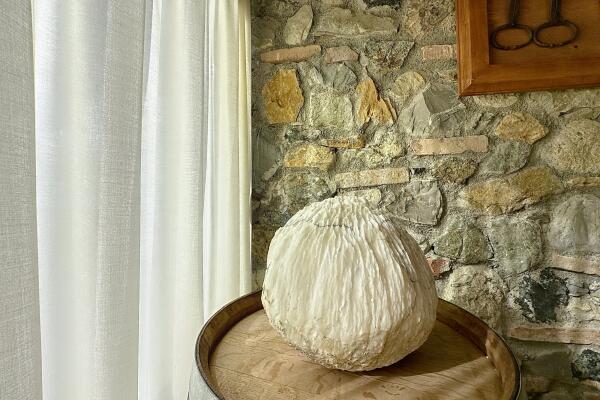 Farmhouse with five apartments, swimming pool and restaurant