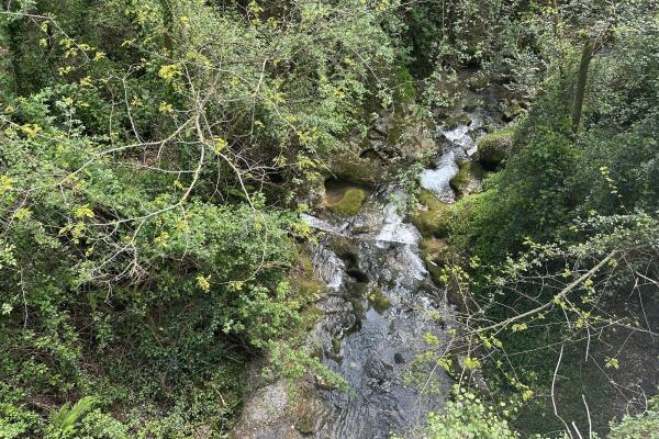 Camaiore - Lovely cottage with outbuilding and garden, newly renovated