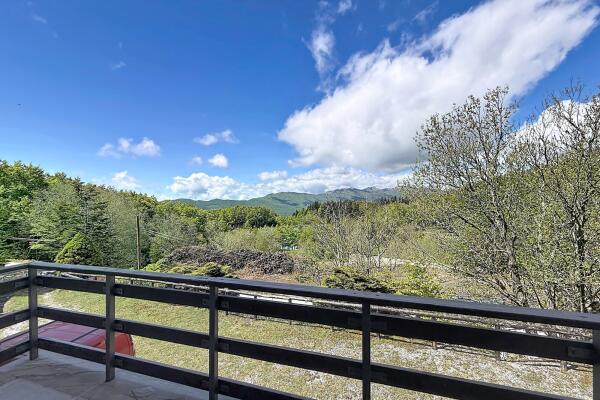 Ampia Villa Bifamiliare con Vista Lago e Giardino