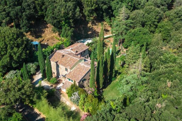 Bolgheri - A special oasis with great potential