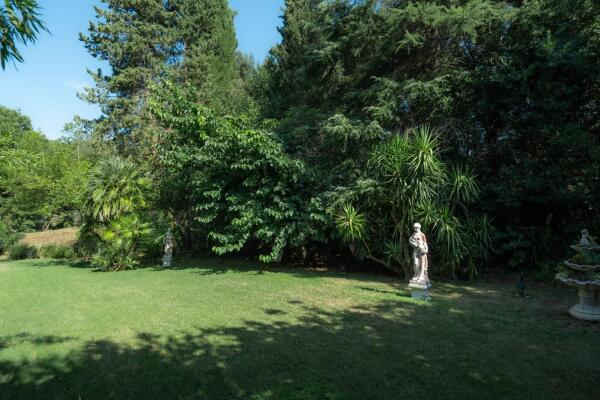 Bolgheri - A special oasis with great potential