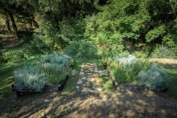 Bolgheri - A special oasis with great potential