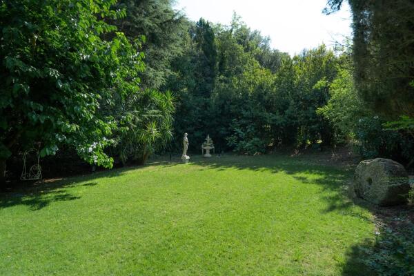 Bolgheri - A special oasis with great potential