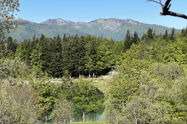 Doganaccia - Semi-detached house with garden and parking space, 7 beds, panoramic location